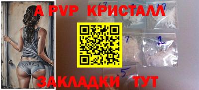 ПСИЛОЦИБИНОВЫЕ ГРИБЫ Камышлов
