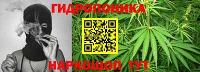 ECSTASY Кандалакша