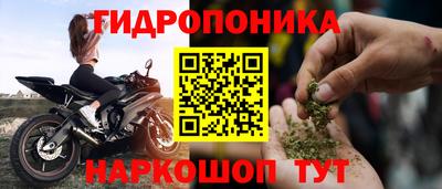 ПСИЛОЦИБИНОВЫЕ ГРИБЫ Камышлов