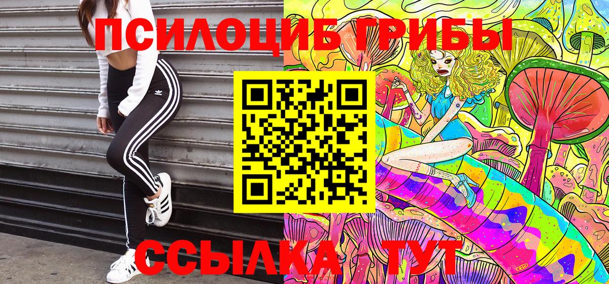 Галлюциногенные грибы Cubensis Ковров